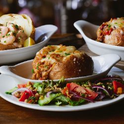 Little Owl Google photo 2