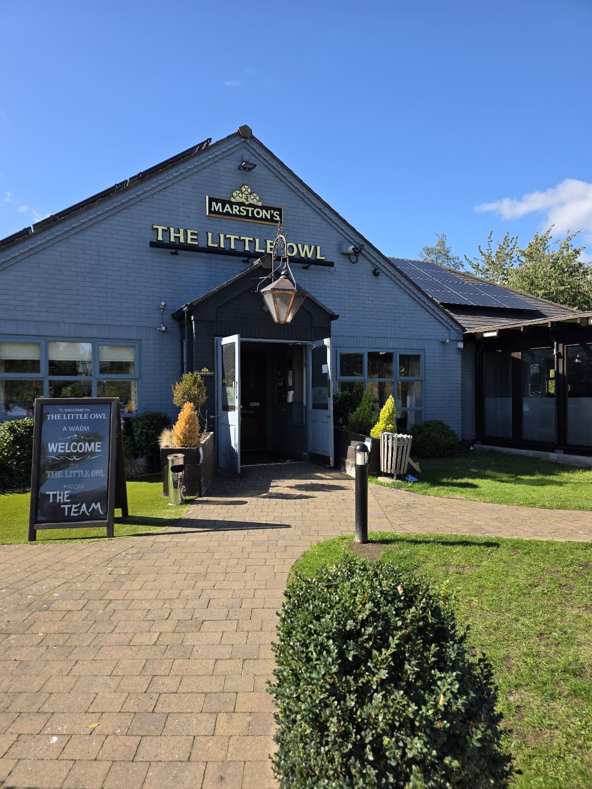 Little Owl Google photo 3