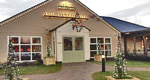 Little Owl Google photo 1