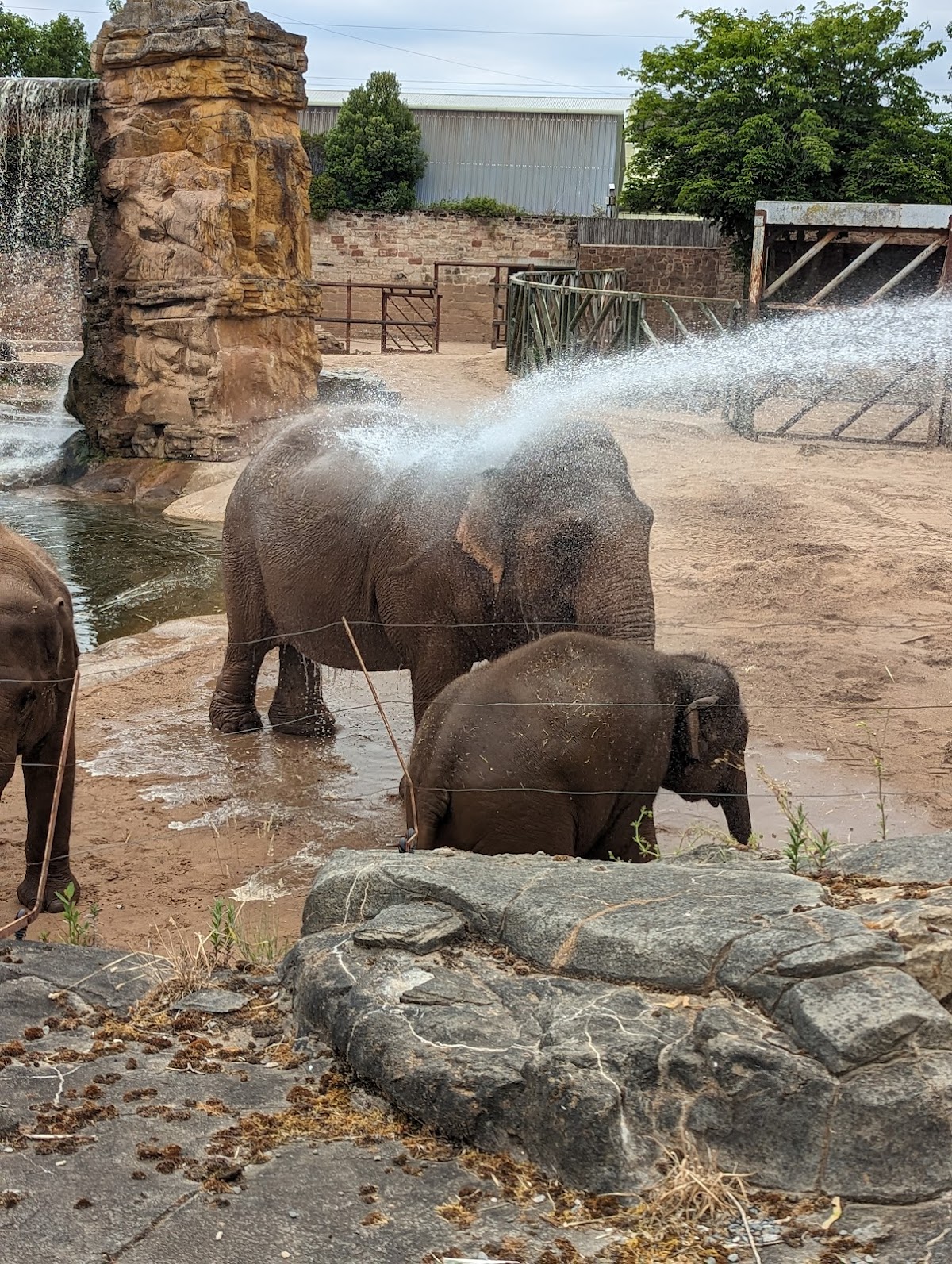 Chester Zoo Google photo 1