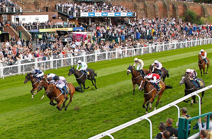 Chester Racecourse Google photo 3