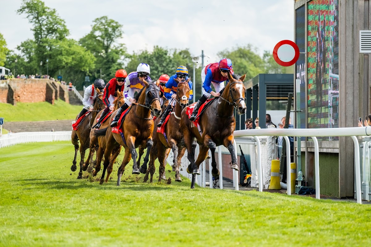 Chester Racecourse Google photo 1