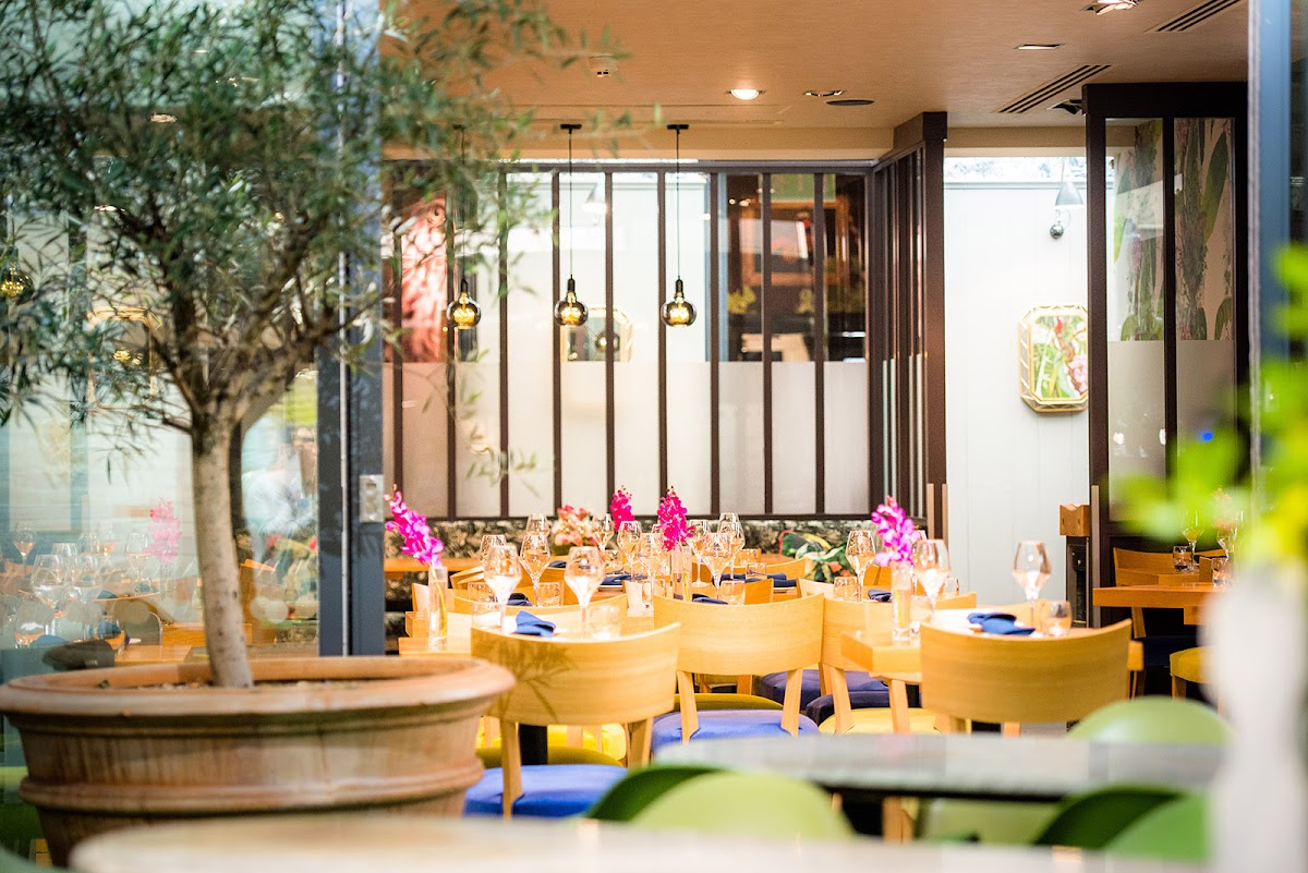 Cultivated by Elliot Hill Google photo 1