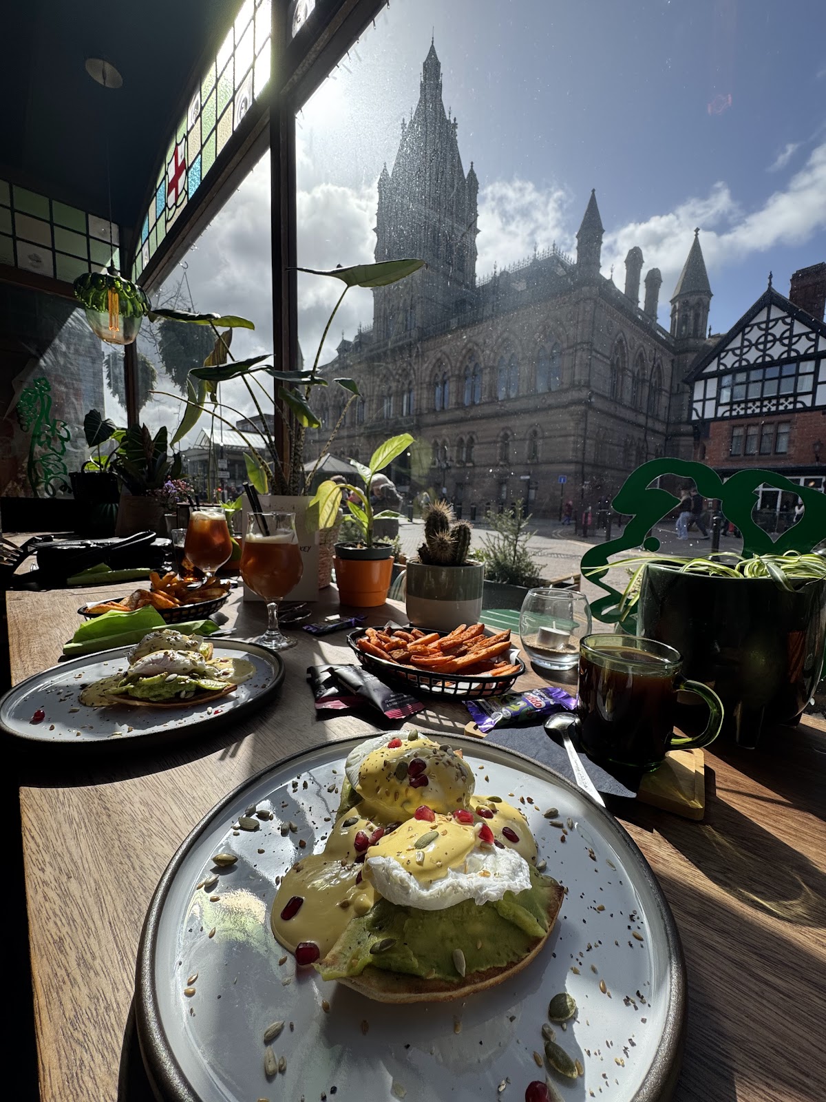 plana terra Google photo 3