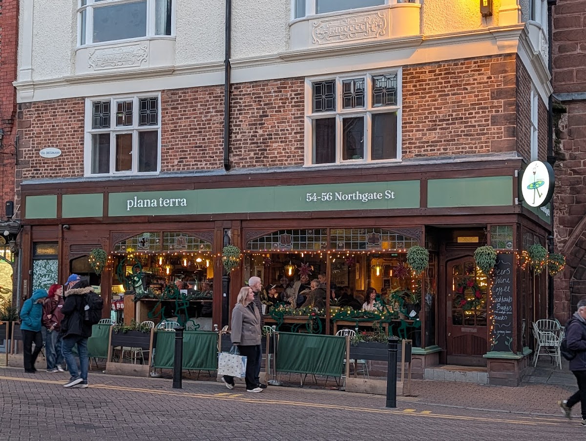 plana terra Google photo 1