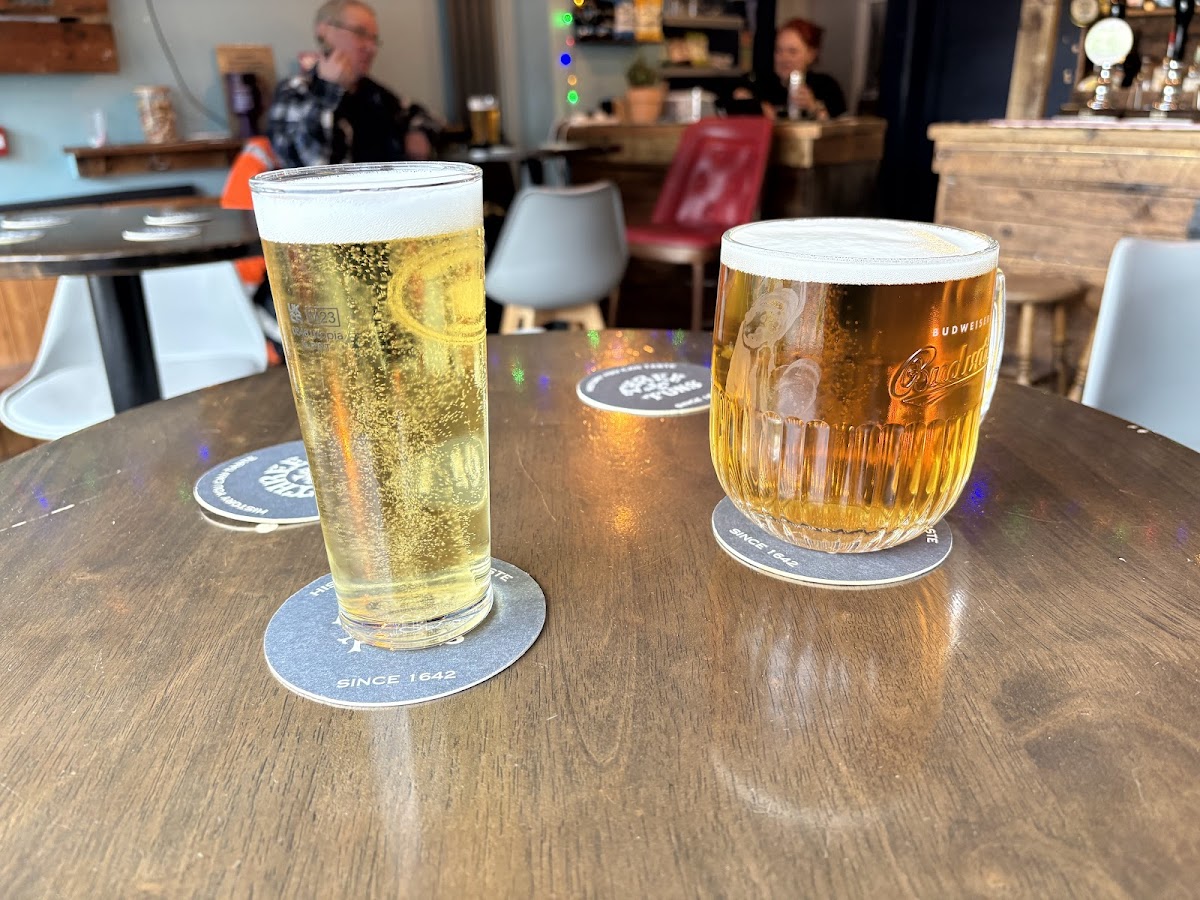 Halcyon Garden Google photo 2