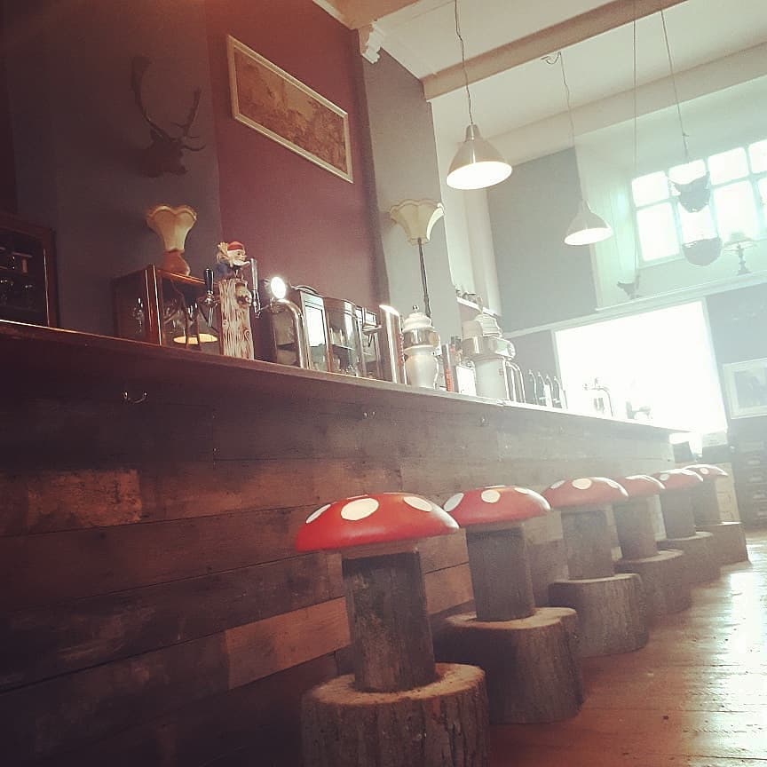 The Cavern of the Curious Gnome Google photo 1