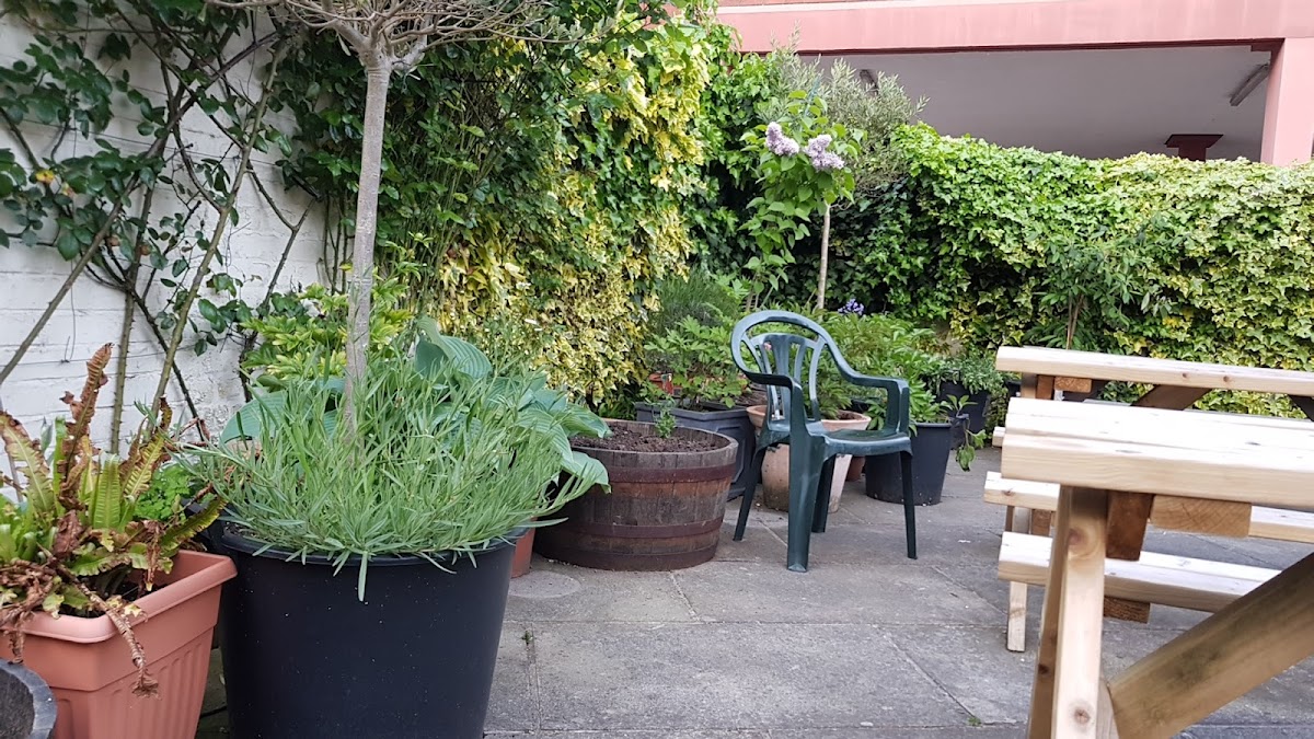 Bridgewater Arms Google photo 1