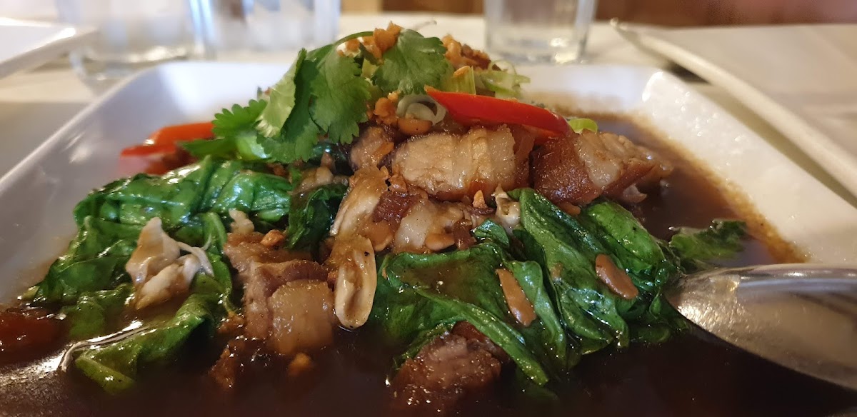 Ruan Orchid Google photo 2