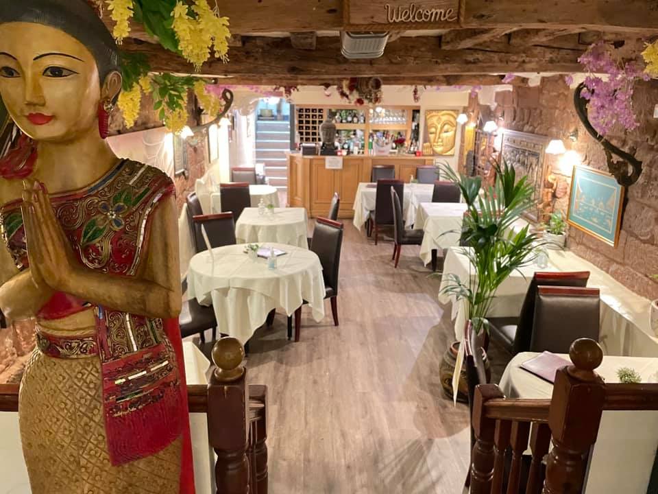 Ruan Orchid Google photo 1